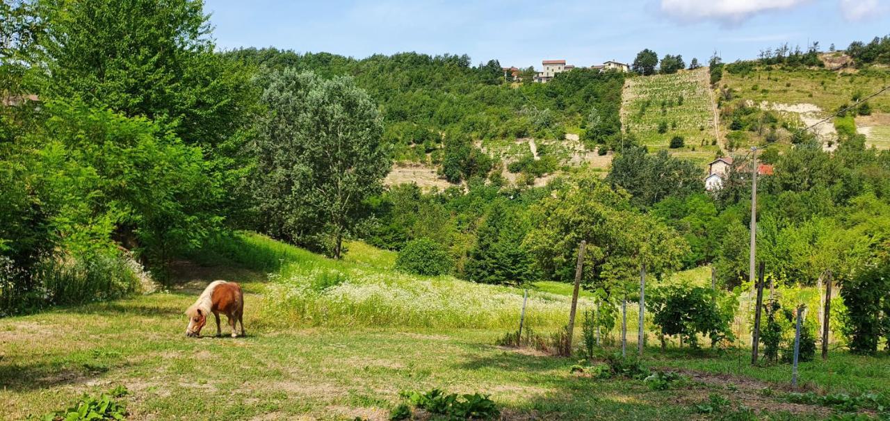 Agriturismo Il Burlino Apartments Lerma Exterior foto